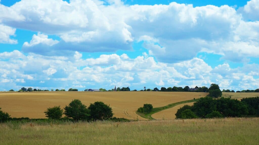 Rolling Surrey countryside with golden wheat fields, green hedgerows and a village church spire on the horizon under a summer sky